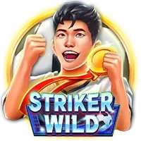 Striker Wild screenshot
